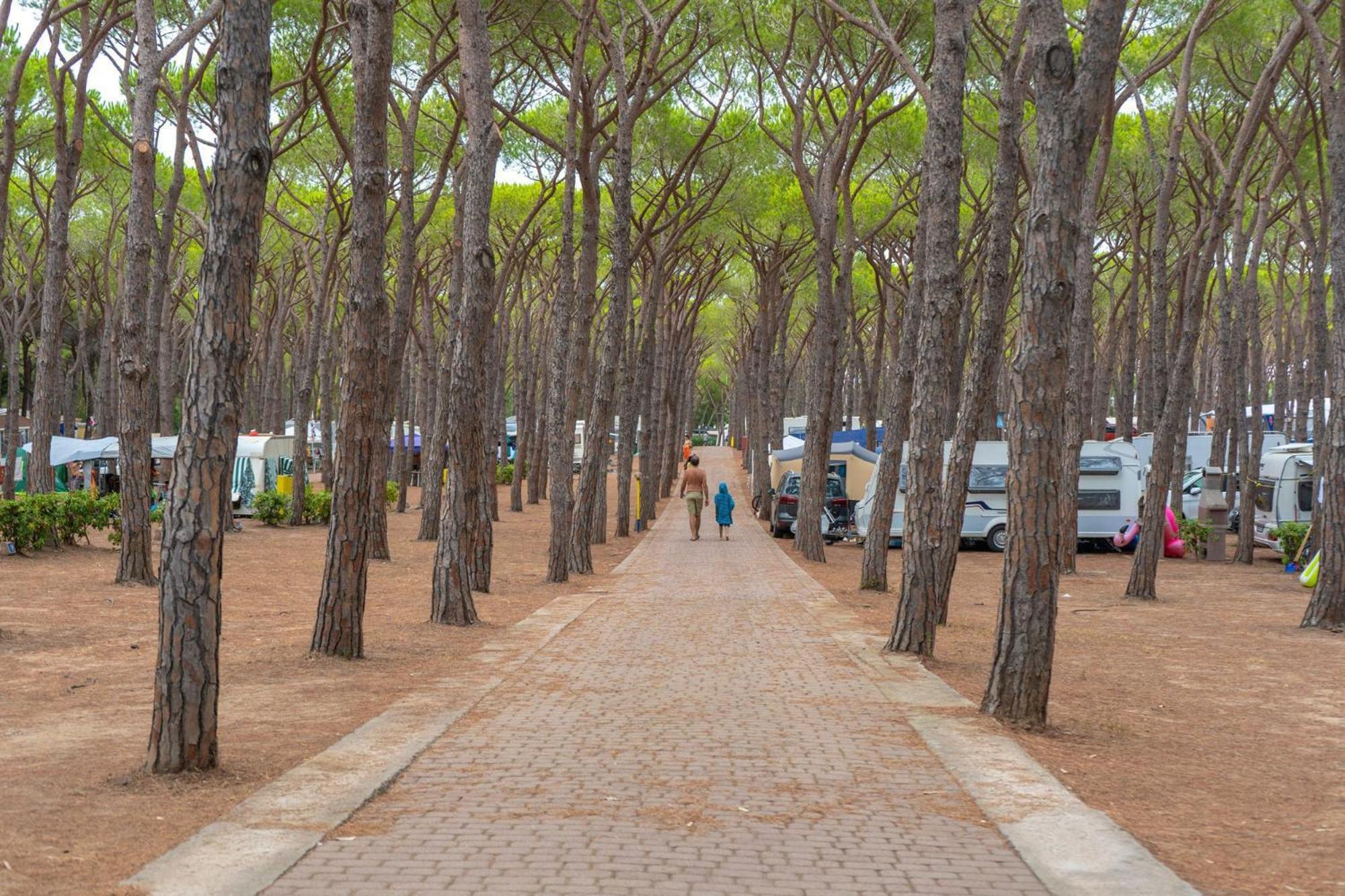 Camping Village Baia Blu La Tortuga อาเญ็นตู ภายนอก รูปภาพ